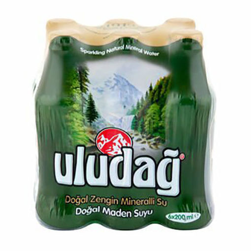 Picture of ULUDAG Natural Mineral Water 6 x 200 ml
