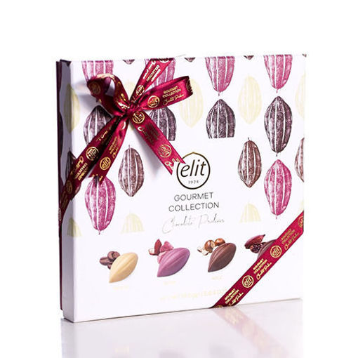 ELIT Gourmet Collection Chocolate Pralines 160g resmi