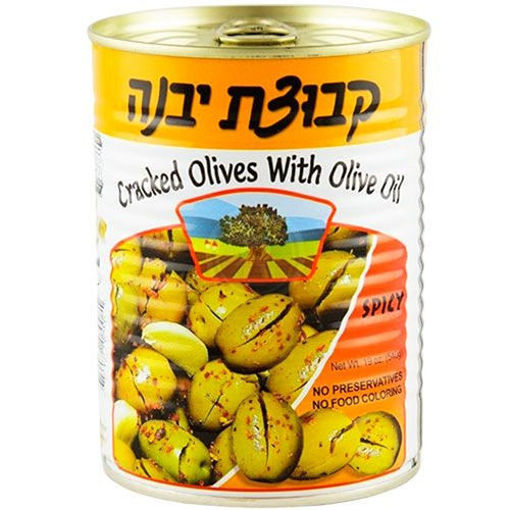 Picture of KVUZAT YAVNE Green Olives w/Olive Oil 540g