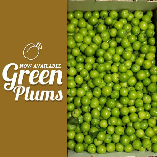 Picture of Fresh Green Plum (Yesil Erik) per lb. (454g)
