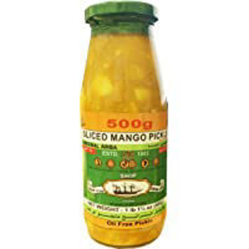 Picture of SHIP MANGO PICKLE 500 GR