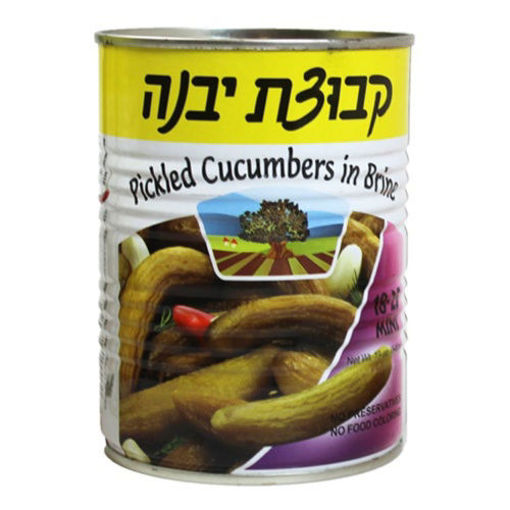 KVUZAT YAVNE Pickled Cucumbers in Brine (Mini 18-25) 560g resmi