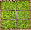 Picture of Fresh Green Plum (Yesil Erik) per lb. (454g)