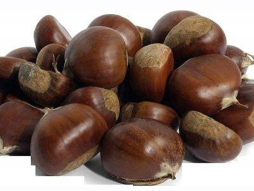 Picture of Turkish Natural Raw Chestnut (Kestane) 1lb