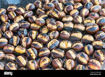 Picture of Turkish Natural Raw Chestnut (Kestane) 1lb